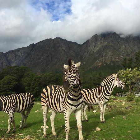Franschhoek Country Cottages Dış mekan fotoğraf