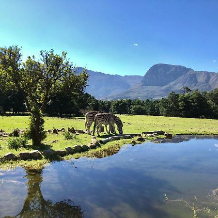 Franschhoek Country Cottages Dış mekan fotoğraf