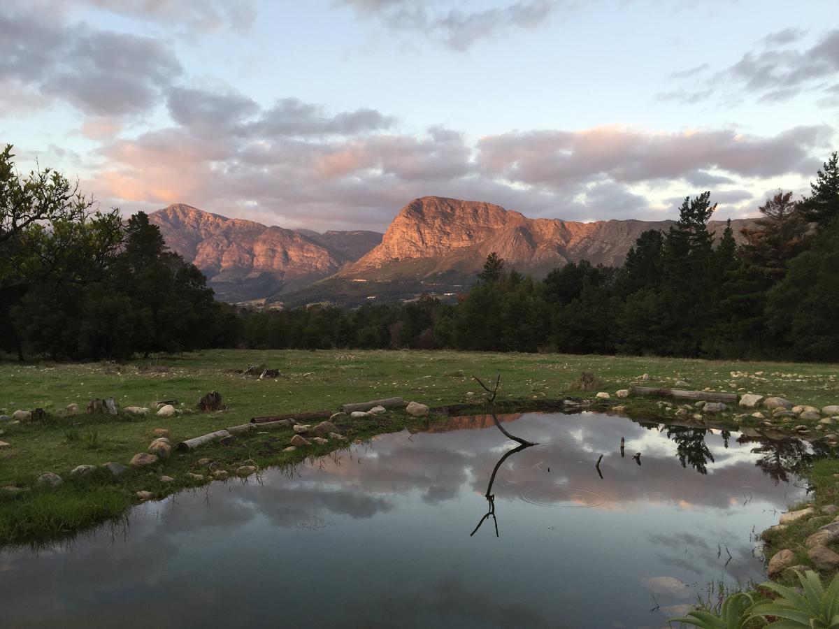Franschhoek Country Cottages Dış mekan fotoğraf