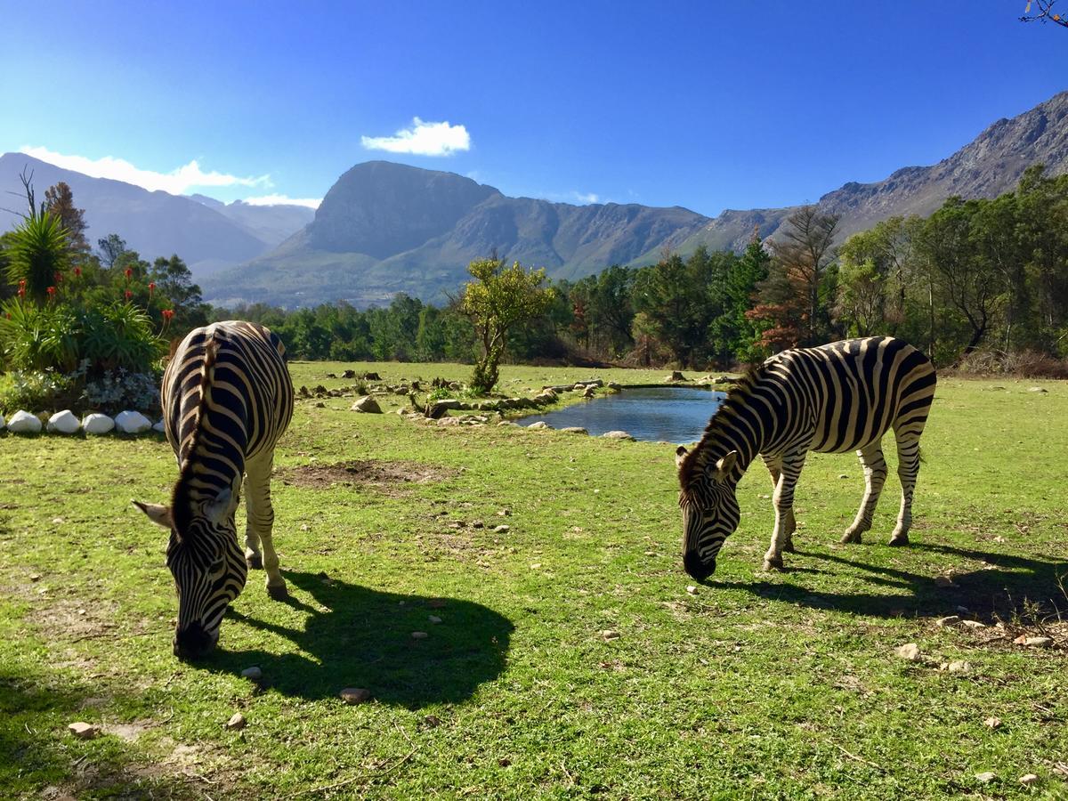 Franschhoek Country Cottages Dış mekan fotoğraf