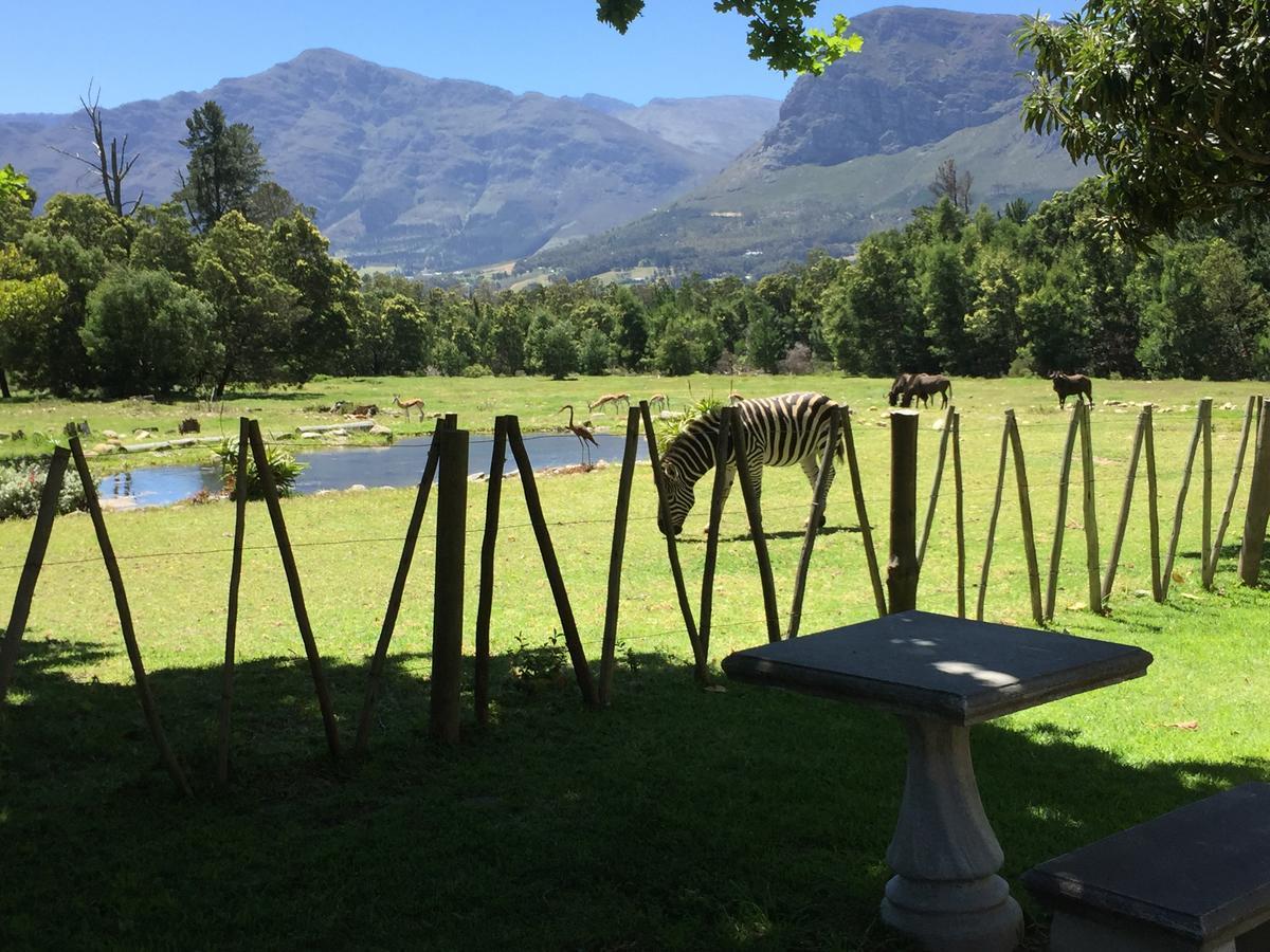 Franschhoek Country Cottages Dış mekan fotoğraf