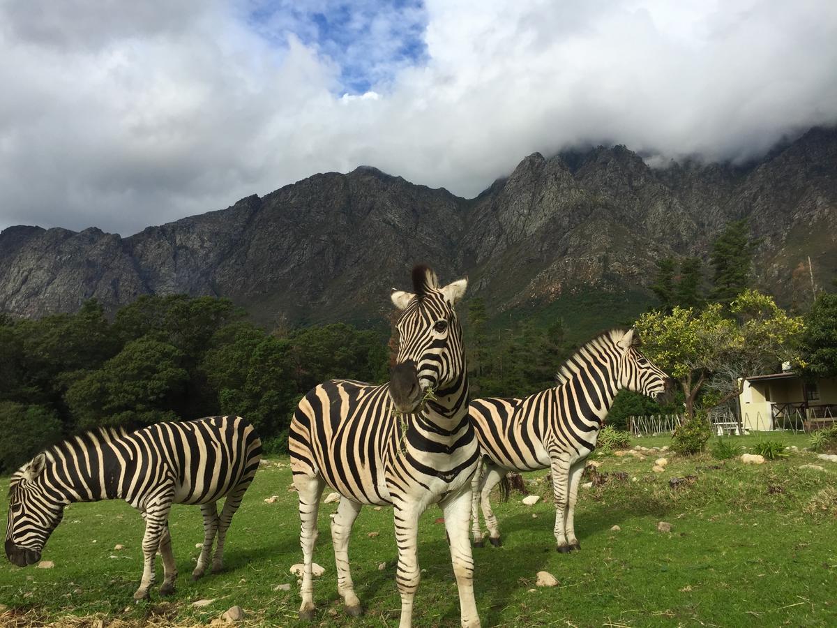 Franschhoek Country Cottages Dış mekan fotoğraf