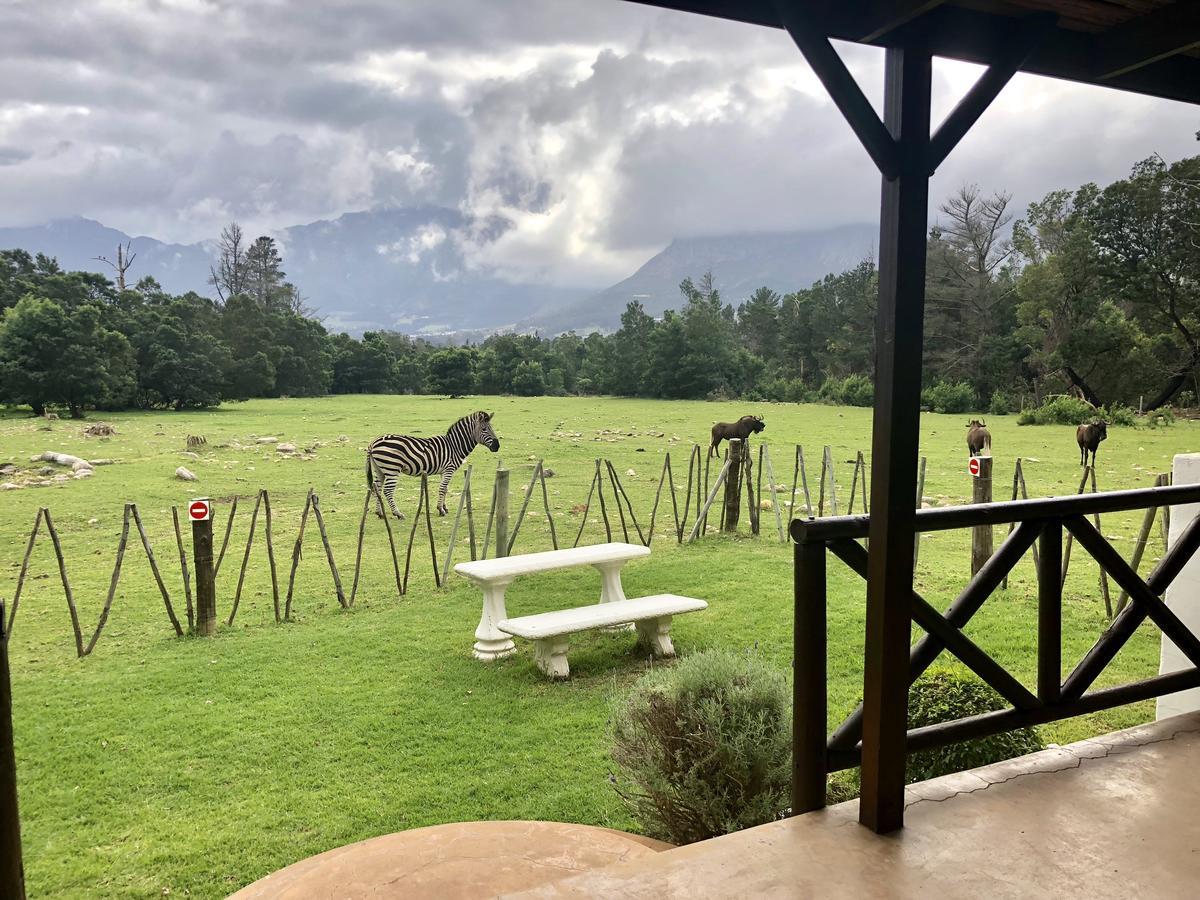 Franschhoek Country Cottages Dış mekan fotoğraf