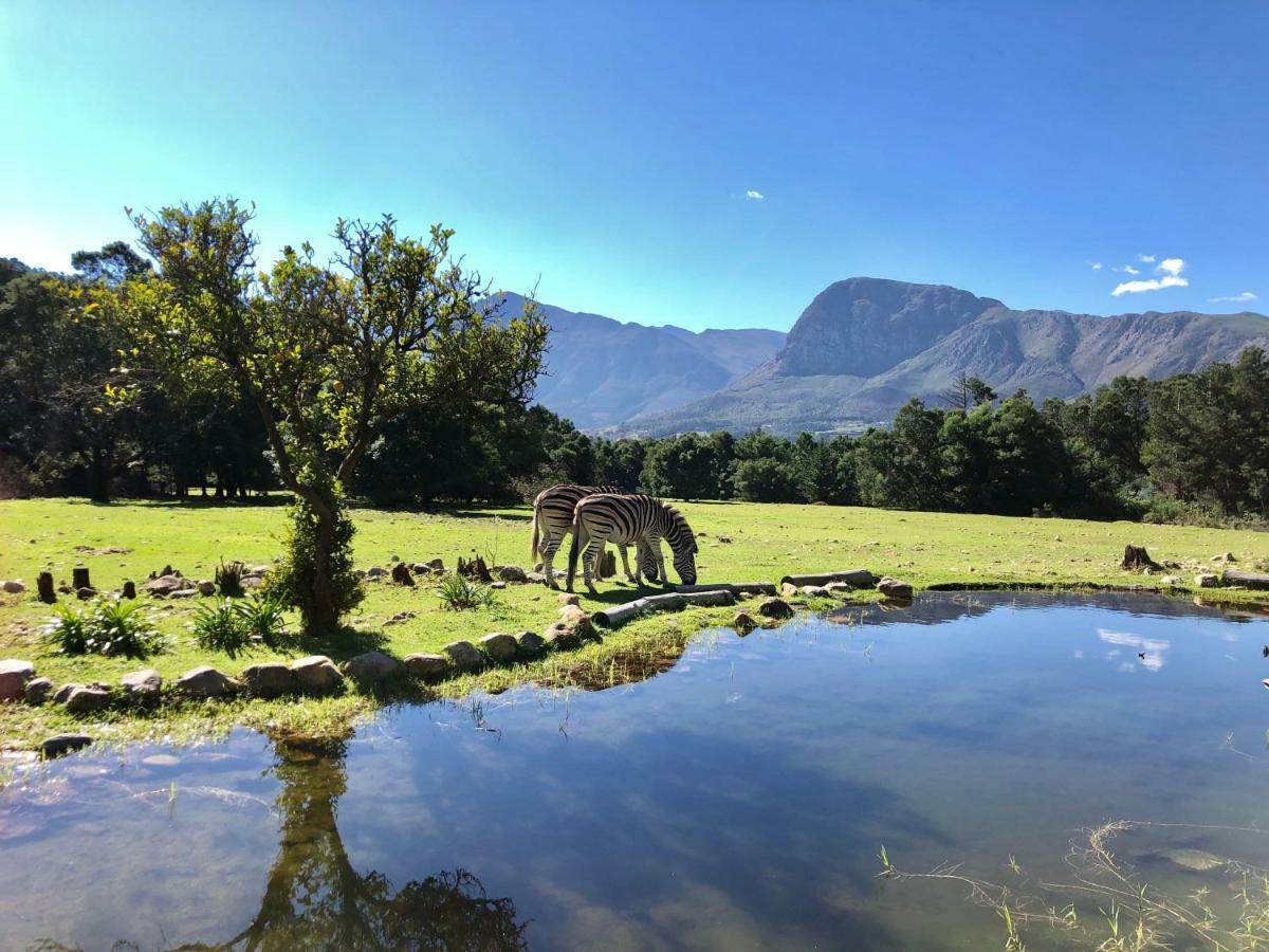 Franschhoek Country Cottages Dış mekan fotoğraf